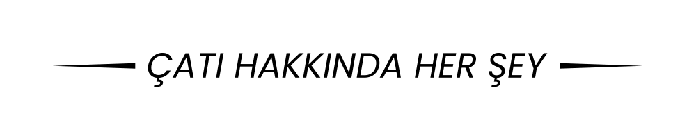 Çatı Kataloğu Logo